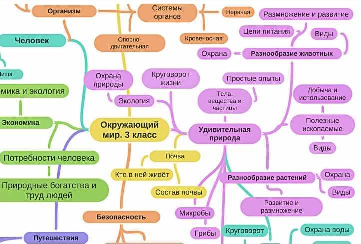 Майнд карта русский язык