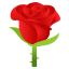Rose :rose: 🌹
