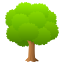 Deciduous tree :deciduous_tree: 🌳