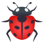 🐞
