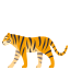 Tiger :tiger2: 🐅