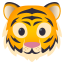 Tiger face :tiger: 🐯