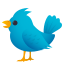 Bird :bird: 🐦