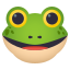 Frog face :frog: 🐸