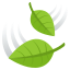 Leaf fluttering in wind :leaves: 🍃