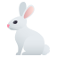 Rabbit :rabbit2: 🐇