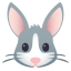 Rabbit face :rabbit: 🐰