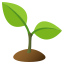 Seedling :seedling: 🌱