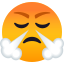 Face with steam from nose :triumph: 😤