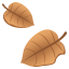 Fallen leaf :fallen_leaf: 🍂