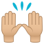 Raising hands: medium-light skin tone :raised_hands_tone2: 🙌🏼