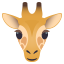 Giraffe :giraffe: 🦒